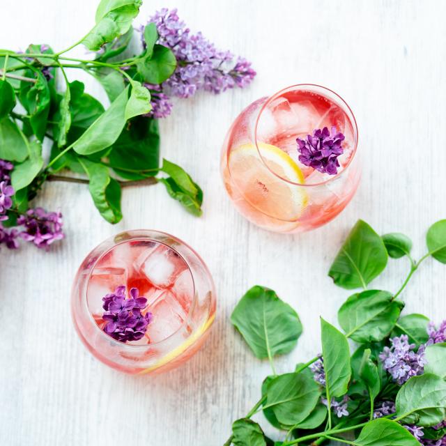 Gin & Tonic 4 stk.